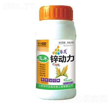 �����\����-�A�����Z