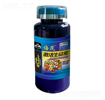 ����������-�A�����Z