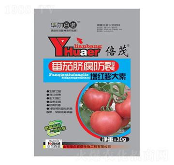 ����Ě�����щ��t�����-�A�����Z