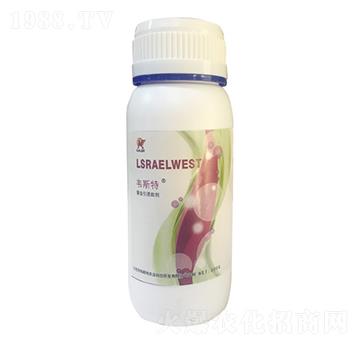 ���x���T��-�f˹��-���r�I(y��)