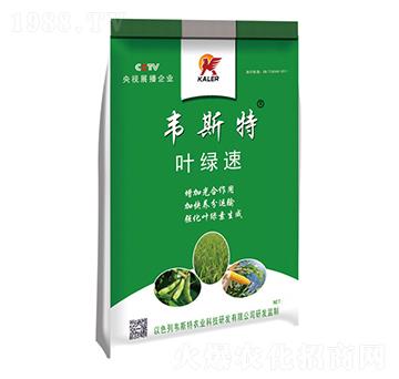 �~�G��-�f˹��-���r(n��ng)�I(y��)