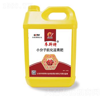 С���Ӻ��������-�f˹��-���r(n��ng)�I(y��)