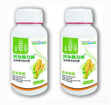 ���װ������L��-�d��ħ����-�d���r(n��ng)�I(y��)