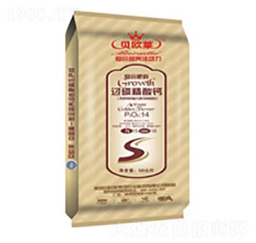 �^�׾����}��(f��)�Ϸ���14-15-16-ؐ�W�R