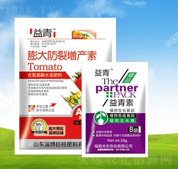 ���������a(ch��n)��+������