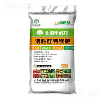 ���Թ��}�V��-�������g��-��Ȫ����