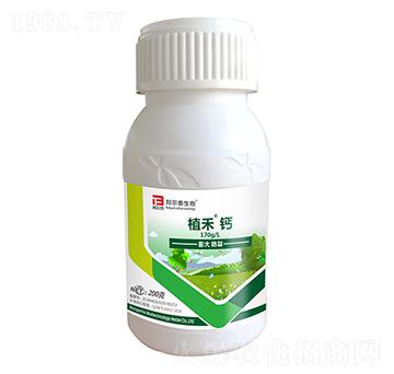 ֲ���}-�̩