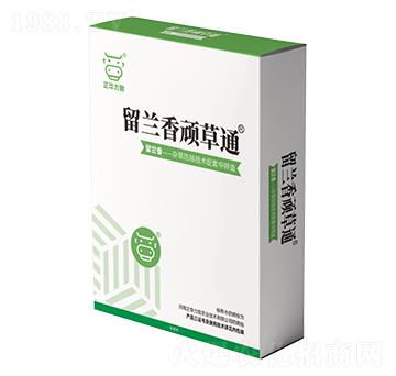 留蘭香頑草通-正華力致