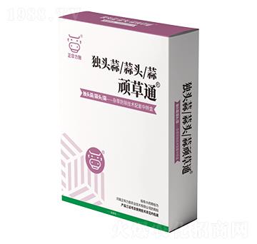 ���^���B��ͨ-���A����