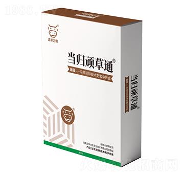 ���w�B��ͨ-���A����