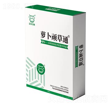 �}���B��ͨ-���A����