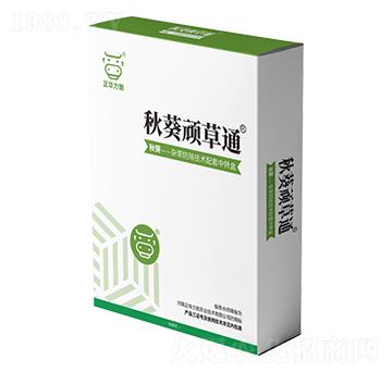 ����B��ͨ-���A����