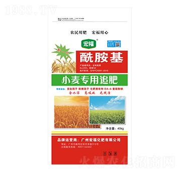 ������С�����÷�-�긣����