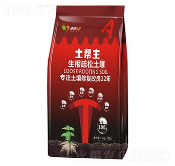 ������������-������-�°��~��