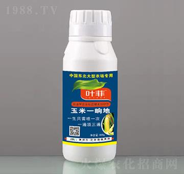 ����һ�ε�-�°��~��