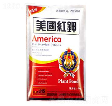 �����t�-�����ʘI(y��)