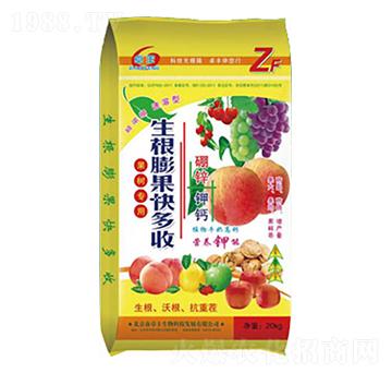 生根膨果快多收-康博肥業(yè)