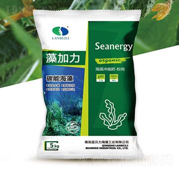 ����_ʩ��-�����-�{(l��n)ؐ��