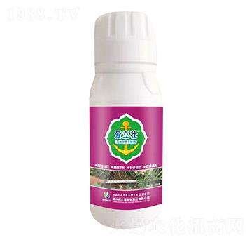 花生分杈下針劑-愛立壯-海之源