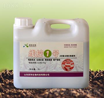 ����1̖(h��o)-��������