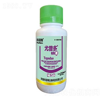 �ЙC(j��)��-���ն�-�Ʒ�ķ