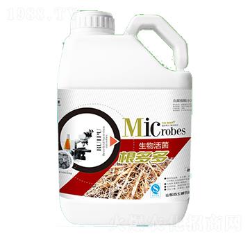 �����-��ʿ��