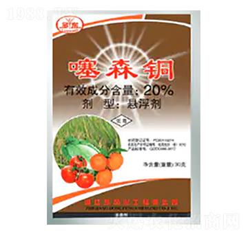 20%��ɭ�~�Ҹ���-�|�L����