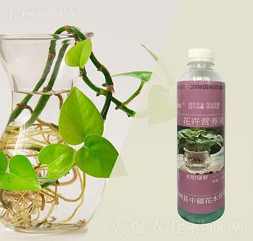 水培綠蘿專(zhuān)用花卉營(yíng)養(yǎng)液-林保姆-碩林肥料