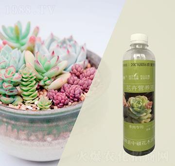 多肉類(lèi)專(zhuān)用花卉營(yíng)養(yǎng)液-林保姆-碩林肥料