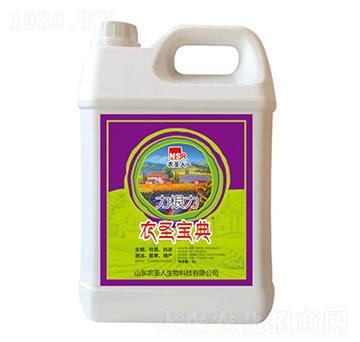 ������-�rʥ����-�rʥ��