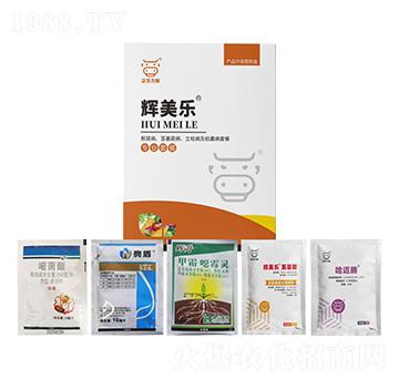 ���������o������������