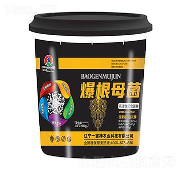 �߻��ԏ�(f��)�Ͼ��N-����ĸ��-һ����