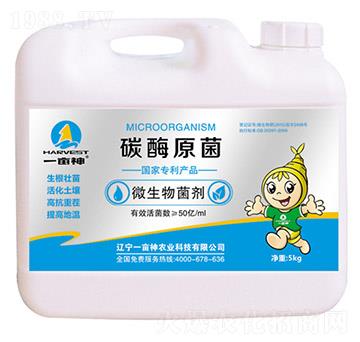 ΢�������-̼øԭ��-һ����