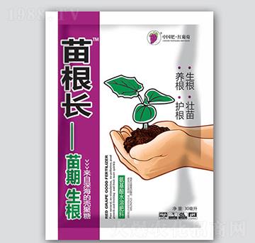 ����L-�t����