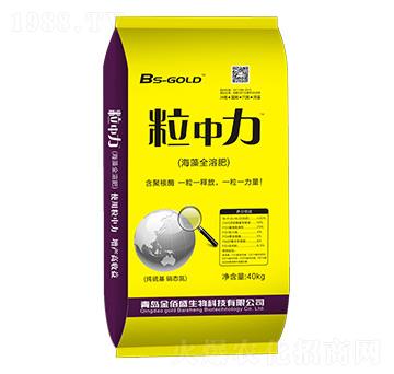 ����ȫ�ܷ�-������-���ʢ����