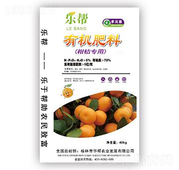 �̽ی�(zhu��n)���ЙC(j��)����-��(l��)��-��������