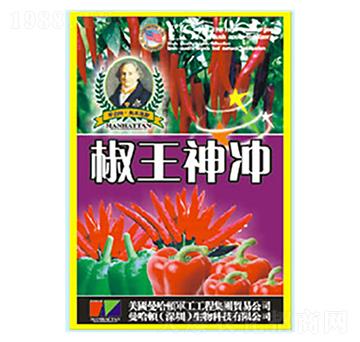 ������_������-�»�