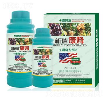 ���ь����~���-����