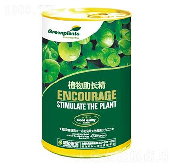 ֲ�����L(zh��ng)��-����