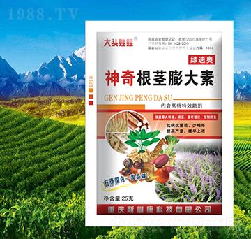 ������o�����-�G�ϊW-˹�ؿ�