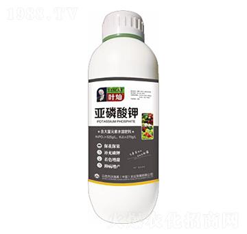 ����Ԫ����Һ��-�������-�»�