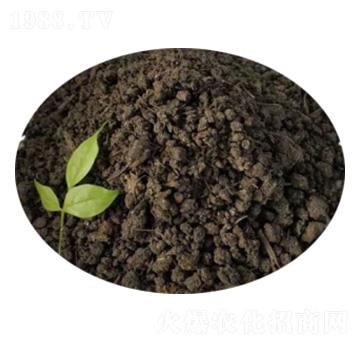 �w����S-ʥ������