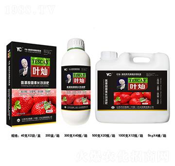 ��ݮ��(zhu��n)�ð���������L(zh��ng)ЧҺ��-�~�N-�»�