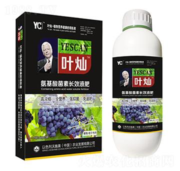 葡萄專用氨基酸菌素長(zhǎng)效液肥-葉燦-德化