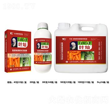 �}������������LЧҺ��-�~�N-�»�