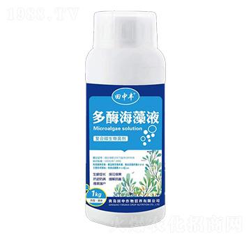 ��(f��)��΢�������-��ø����Һ-��������