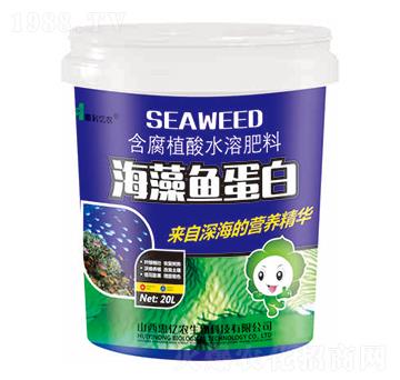 �����~(y��)����-�݃|�r(n��ng)