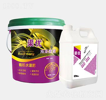 海藻酵素有機(jī)水溶肥料-渠優(yōu)-渠得生物