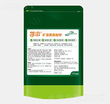 �VԴ�S�����-�P��-��������