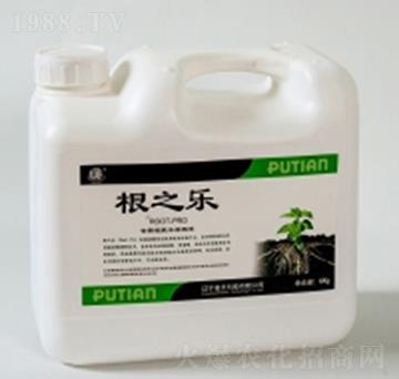 根之樂(lè)-普天科技